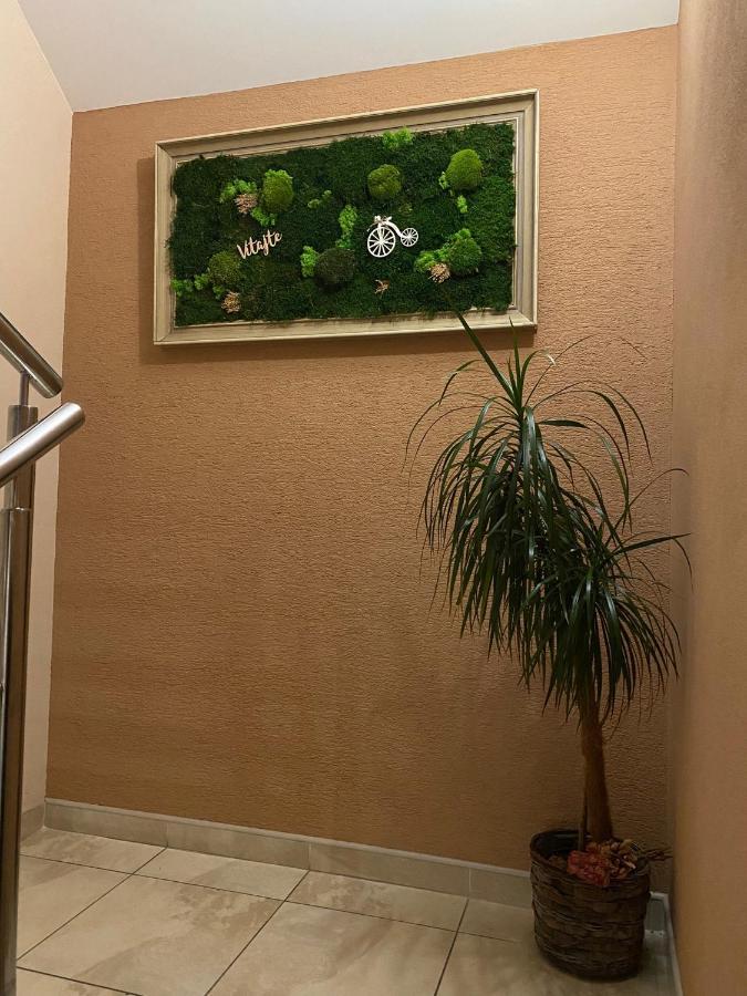 Sered' Apartman Pri Parku מראה חיצוני תמונה